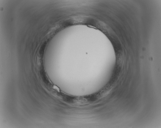 X0000070370215200606301904