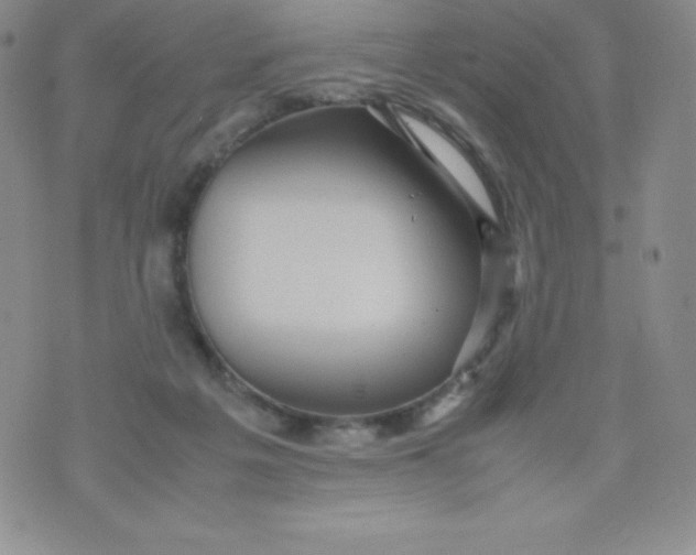 X0000070370217200606301904