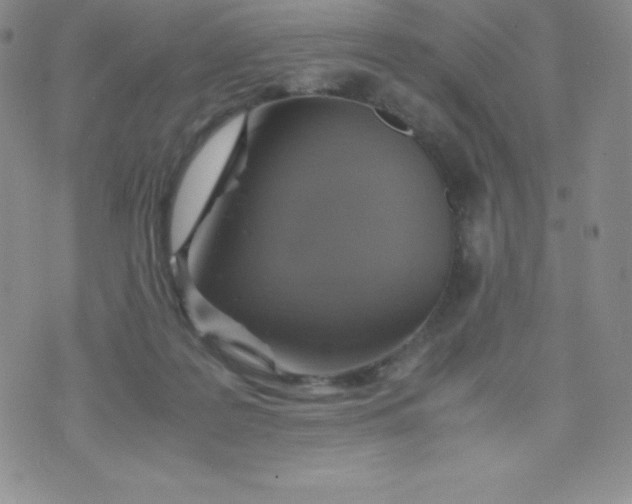 X0000070370219200606301904