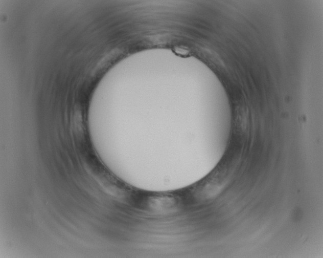 X0000070370220200606301904