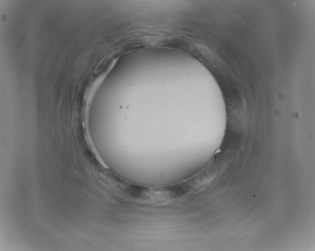 X0000070370221200606301904