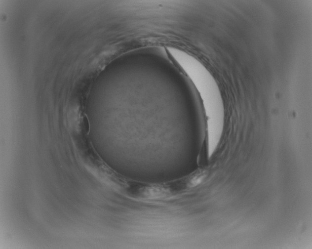 X0000070370223200606301904