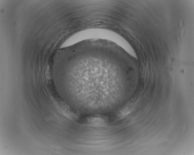 X0000070370224200606301904