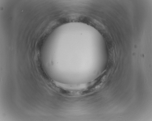 X0000070370225200606301904