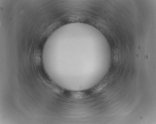 X0000070370226200606301904