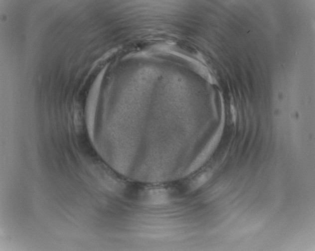 X0000070370228200606301904