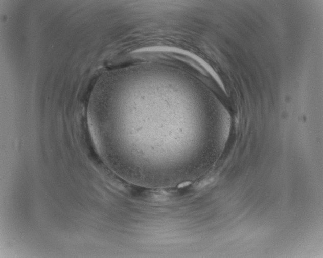 X0000070370229200606301904