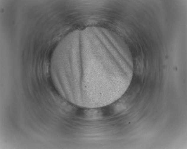 X0000070370230200606301904