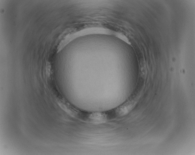 X0000070370231200606301904