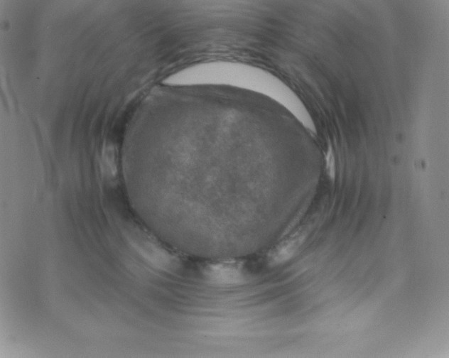 X0000070370232200606301904