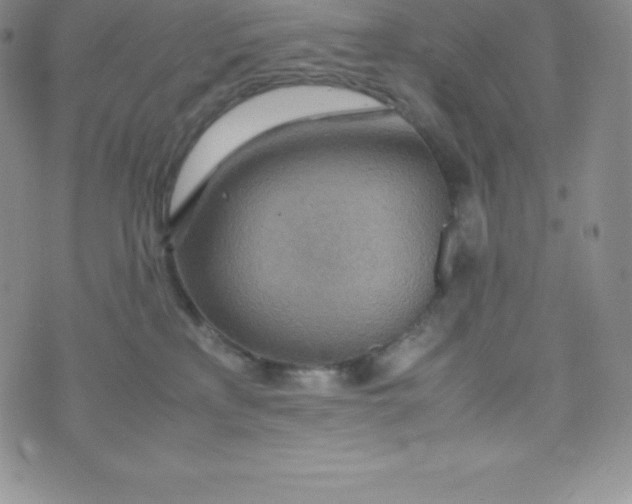 X0000070370233200606301904