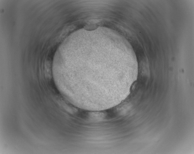 X0000070370234200606301904