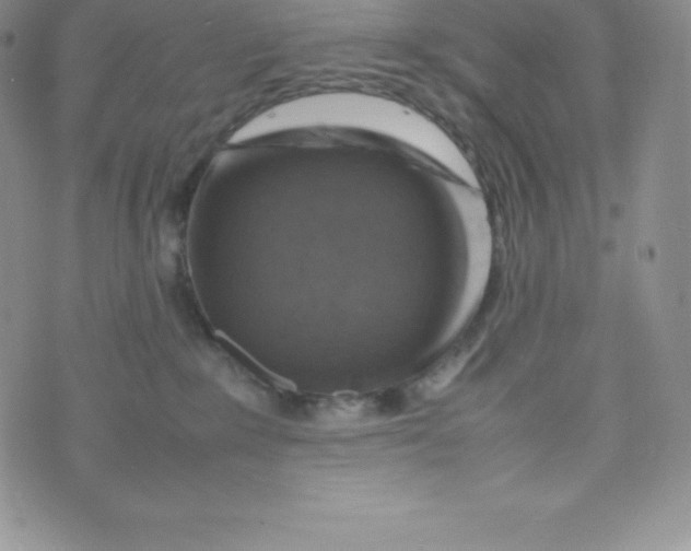 X0000070370235200606301904