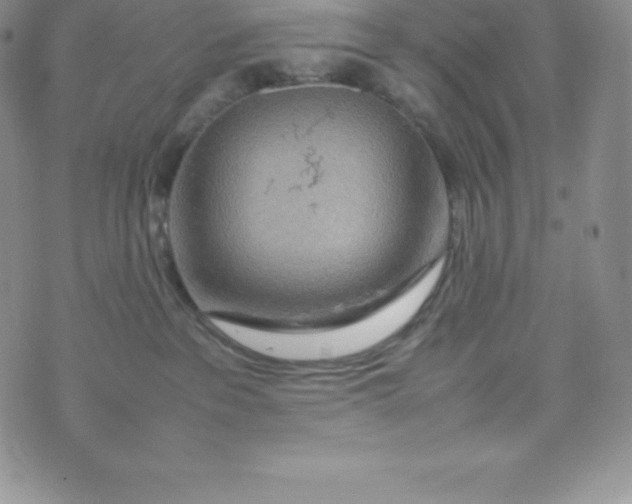 X0000070370237200606301904