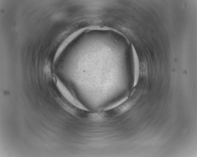 X0000070370238200606301904