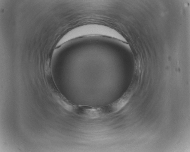 X0000070370239200606301904