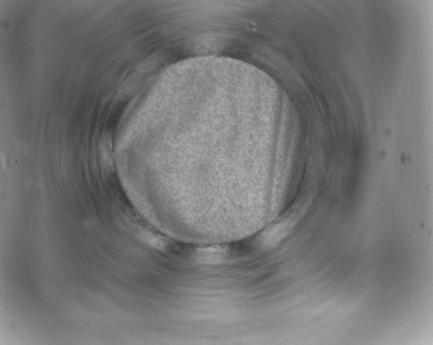 X0000070370240200606301904