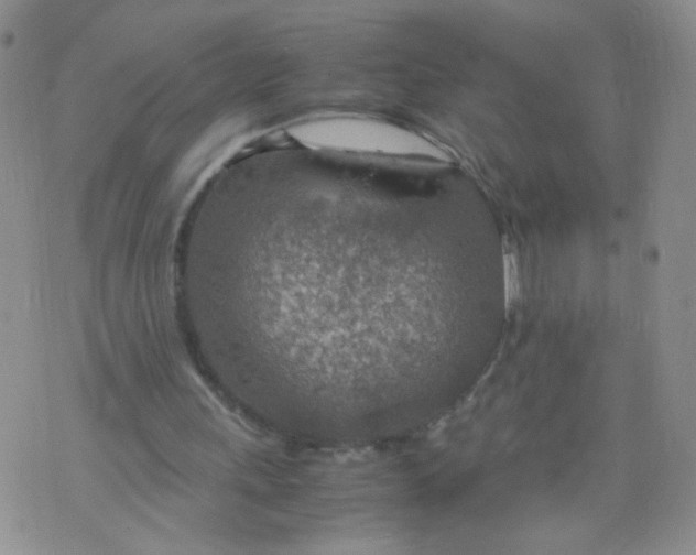 X0000070370243200606301903