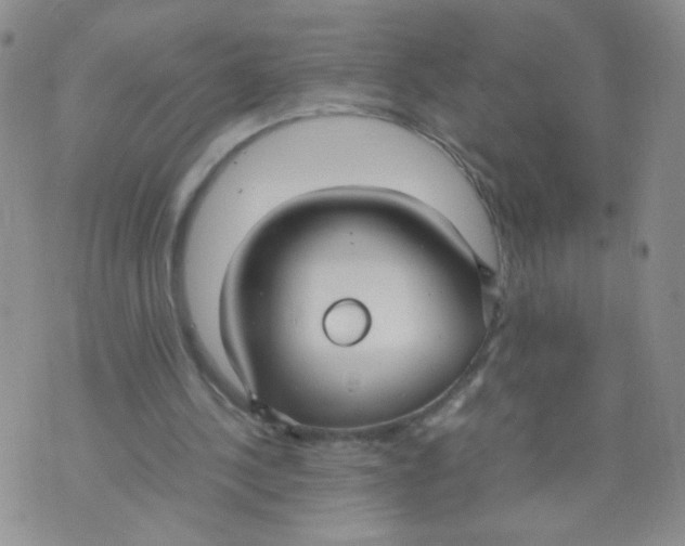 X0000070370244200606301903