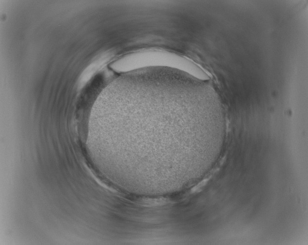 X0000070370245200606301903