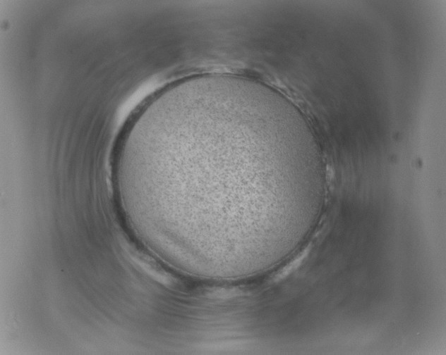 X0000070370246200606301903