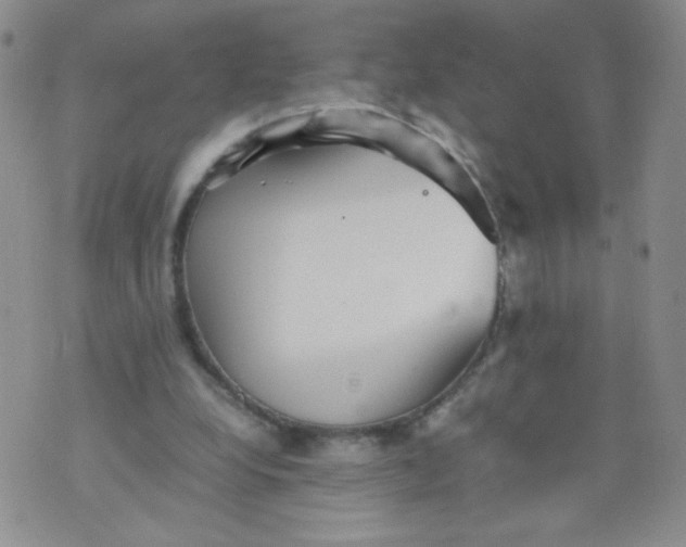 X0000070370248200606301903