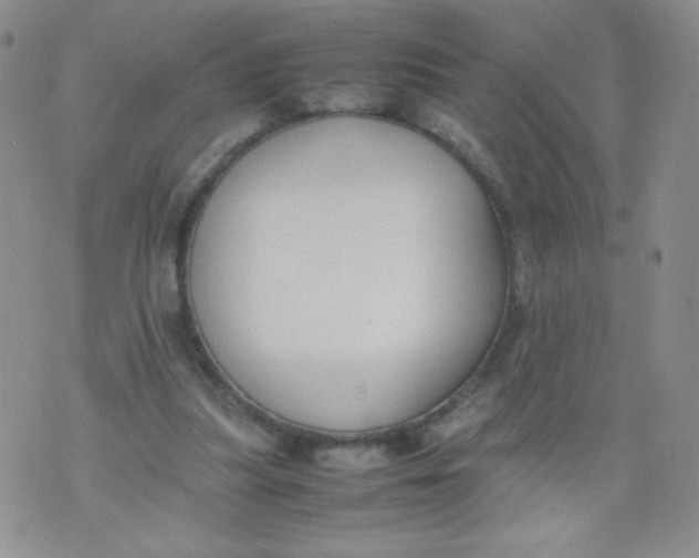 X0000070370251200606301903