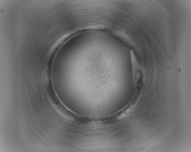 X0000070370252200606301903