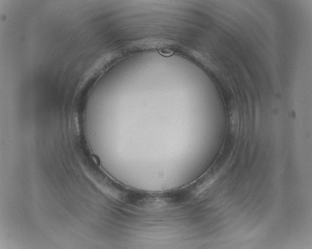 X0000070370254200606301903