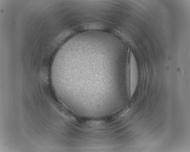 X0000070370255200606301903