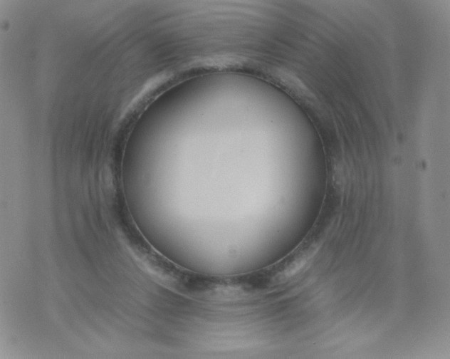 X0000070370256200606301903