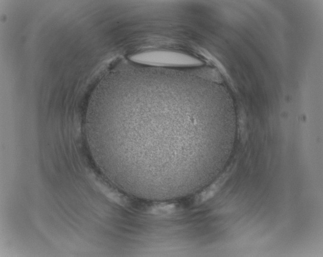 X0000070370257200606301903