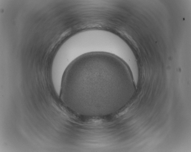 X0000070370260200606301903