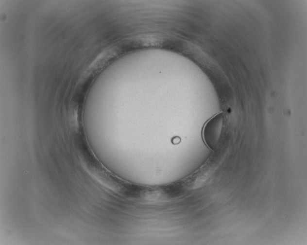 X0000070370262200606301903