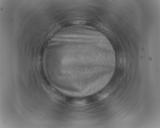 X0000070370263200606301903