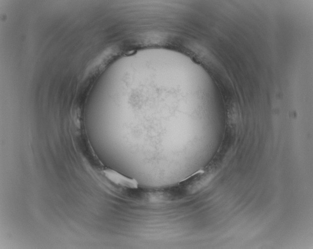 X0000070370264200606301903