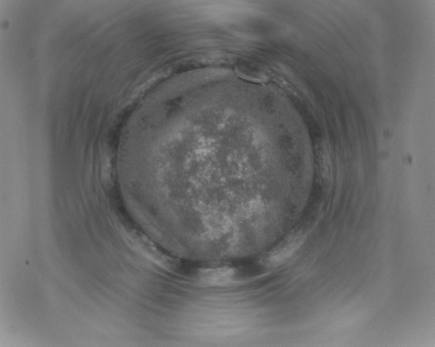 X0000070370266200606301903