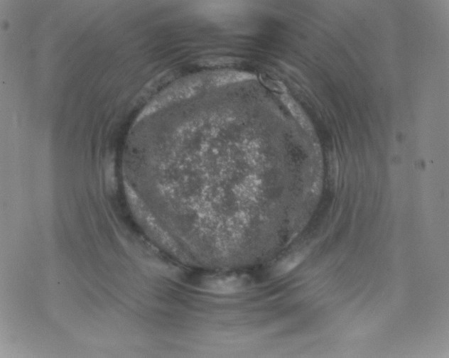 X0000070370267200606301904