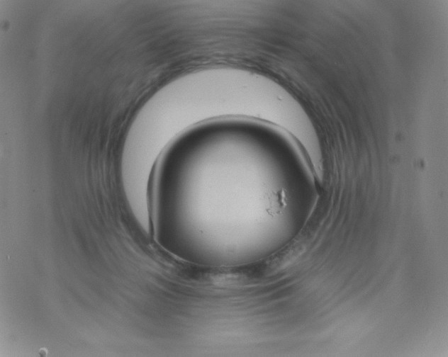 X0000070370268200606301904