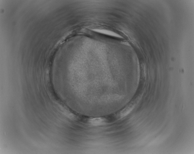 X0000070370269200606301904