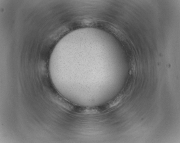 X0000070370270200606301904