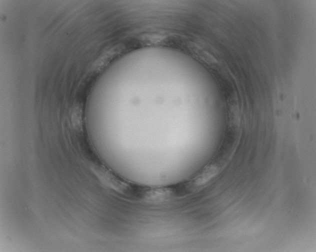 X0000070370274200606301904