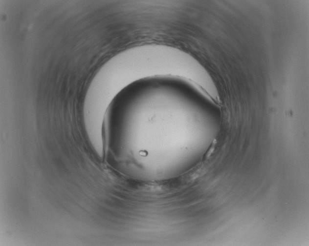 X0000070370276200606301904