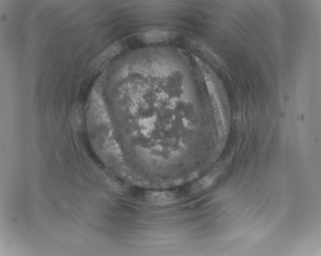 X0000070370277200606301904