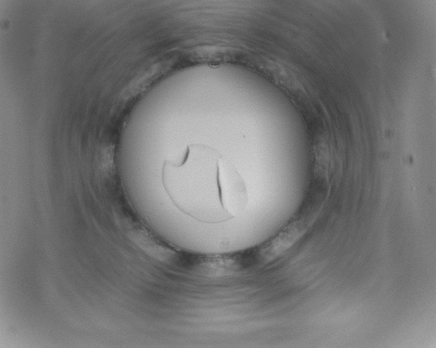 X0000070370278200606301904