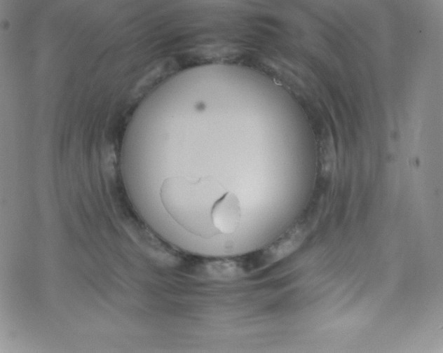 X0000070370279200606301904