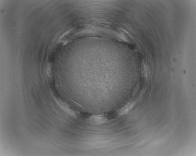 X0000070370280200606301904