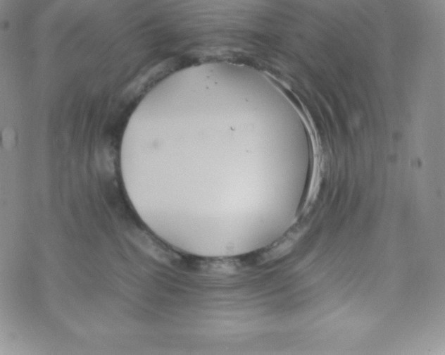 X0000070370282200606301904