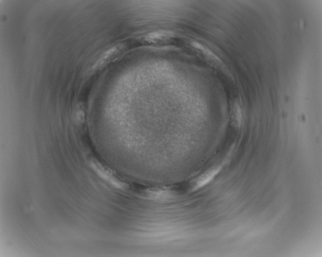 X0000070370284200606301904