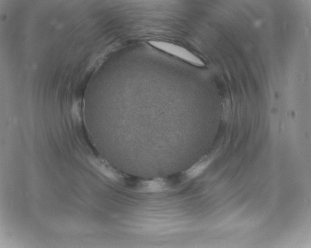 X0000070370286200606301904